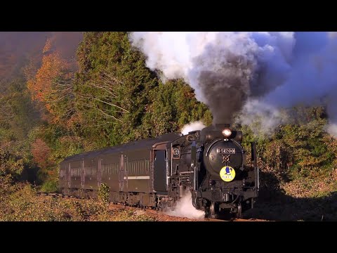 今年もありがとう！】 SLやまぐち号 2024年ラストラン D51200号機