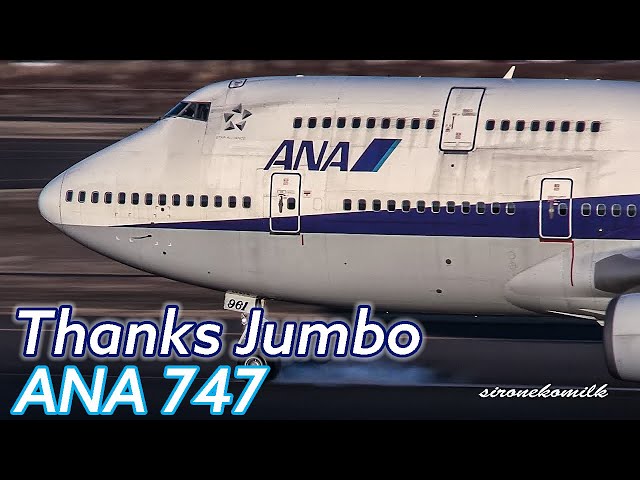 航空機・ヘリコプター Geministar ANA B747-400 JA8957 1/400 1:400