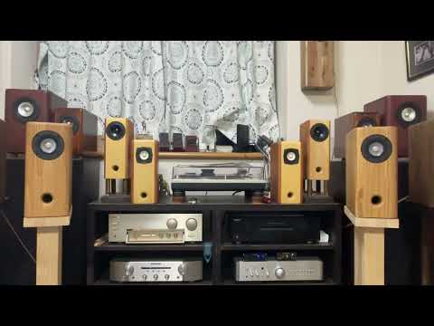 MarkAudio Alpair5G 8cmフルレンジスピーカー Gold テレビ・オーディオ