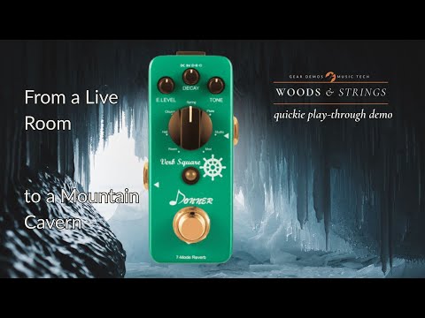 ギター DONNER Verb SquareEcho S quare TuttiLove Donner Tutti Love