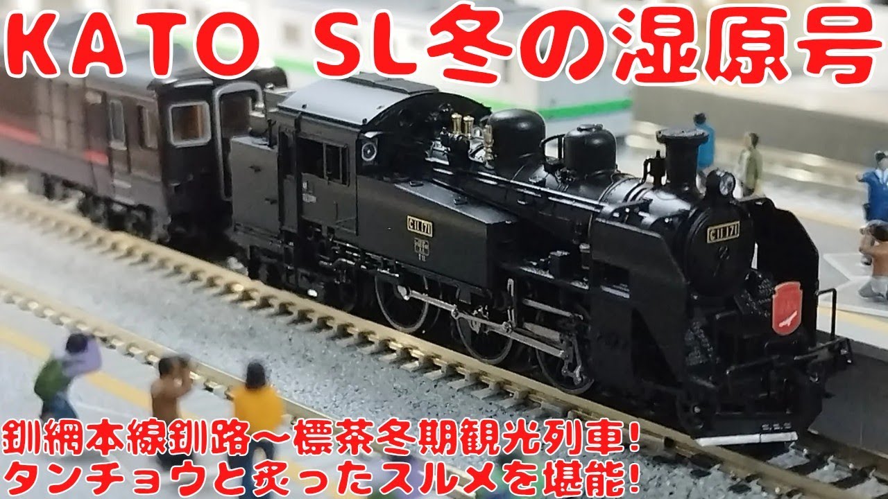 I bought the KATO [Special Item 10-1958] C11-171 + 14 Series 500