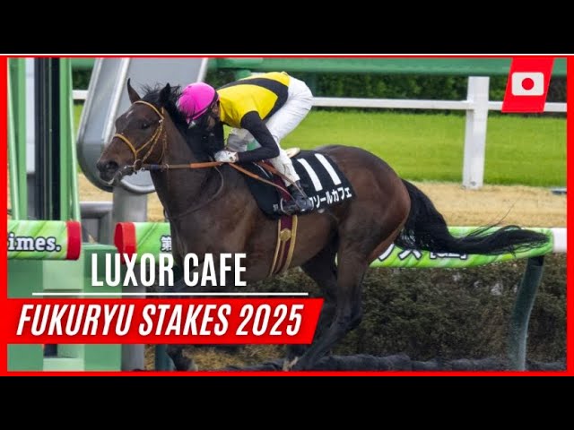 LUXOR CAFE wins the Fukuryu Stakes - YouTube