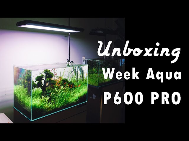 Week Aqua P600 PRO Unboxing and Review/Overview | Full Spectrum