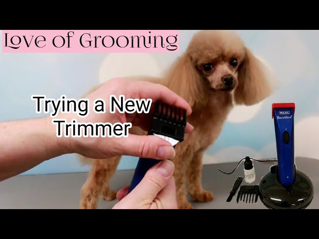 Trying out the Wahl+ BravMini Dog Trimmers | Wahl Mini Bravura