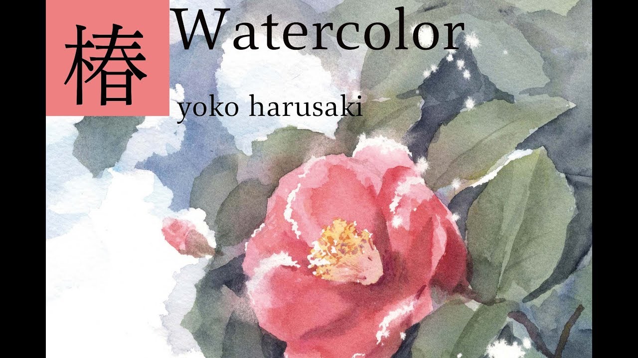 春崎陽子 水彩画山茶花の描き方 Yoko Harusaki watercolor - YouTube
