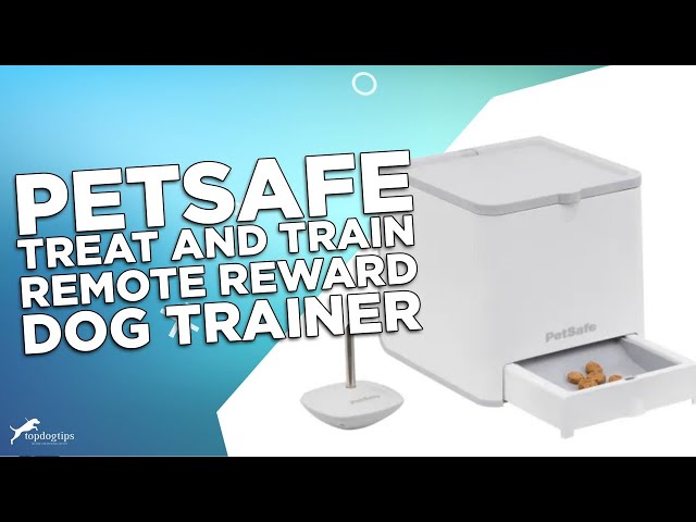 Review: PetSafe Treat and Train Remote Reward Dog Trainer - YouTube