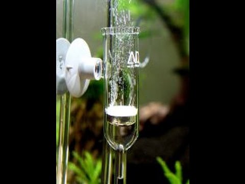 ADA Pollen Glass + ADA Co2 Bubble Counter Unboxing - YouTube