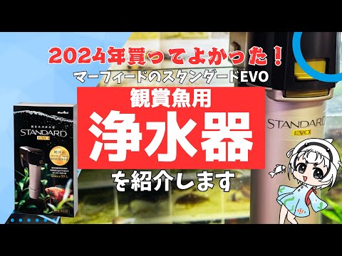 買ってよかった2024】 マーフィードの新商品 浄水器、スタンダードEVO