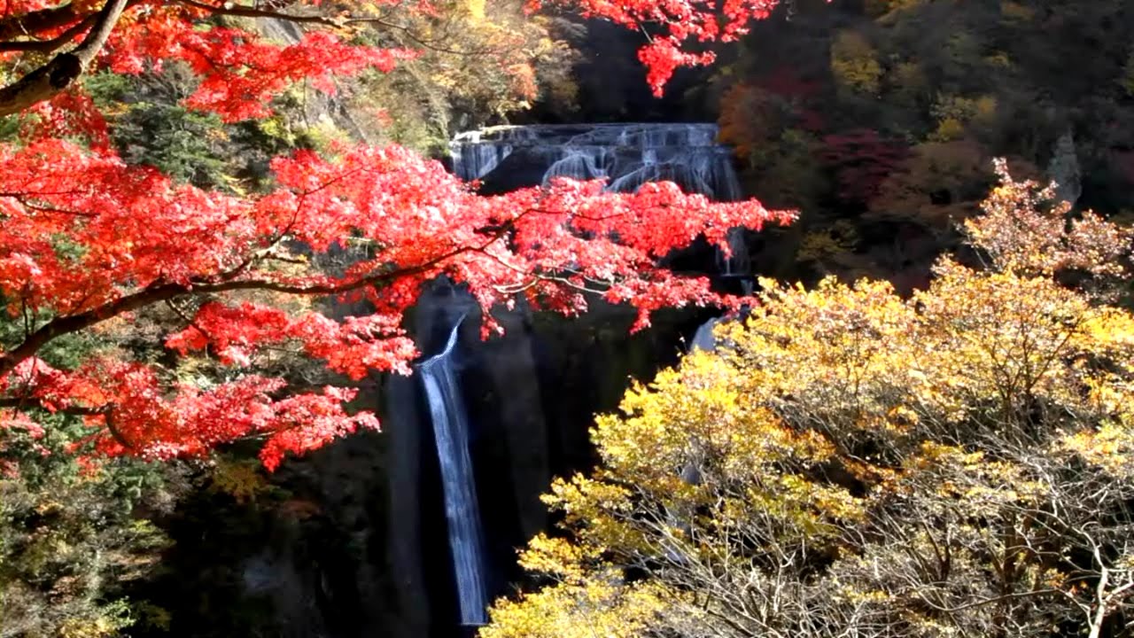掛軸 村田秀峰 瀑布群禽図 共箱 紅葉 瀧 秋 小鳥 A-13 掛軸 村田秀峰