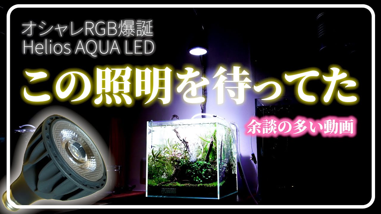 I bought a bulb-type RGB light specifically for the Aqua [Helios