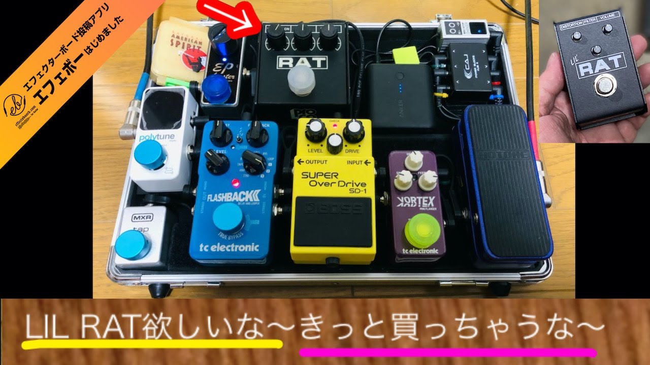 Lil' RAT ギターエフェクター エフェクターレビュー】ProCo LIL' RAT