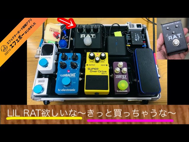 THE RAT ギターエフェクター RT-556527 THE RAT ギターエフェクター RT