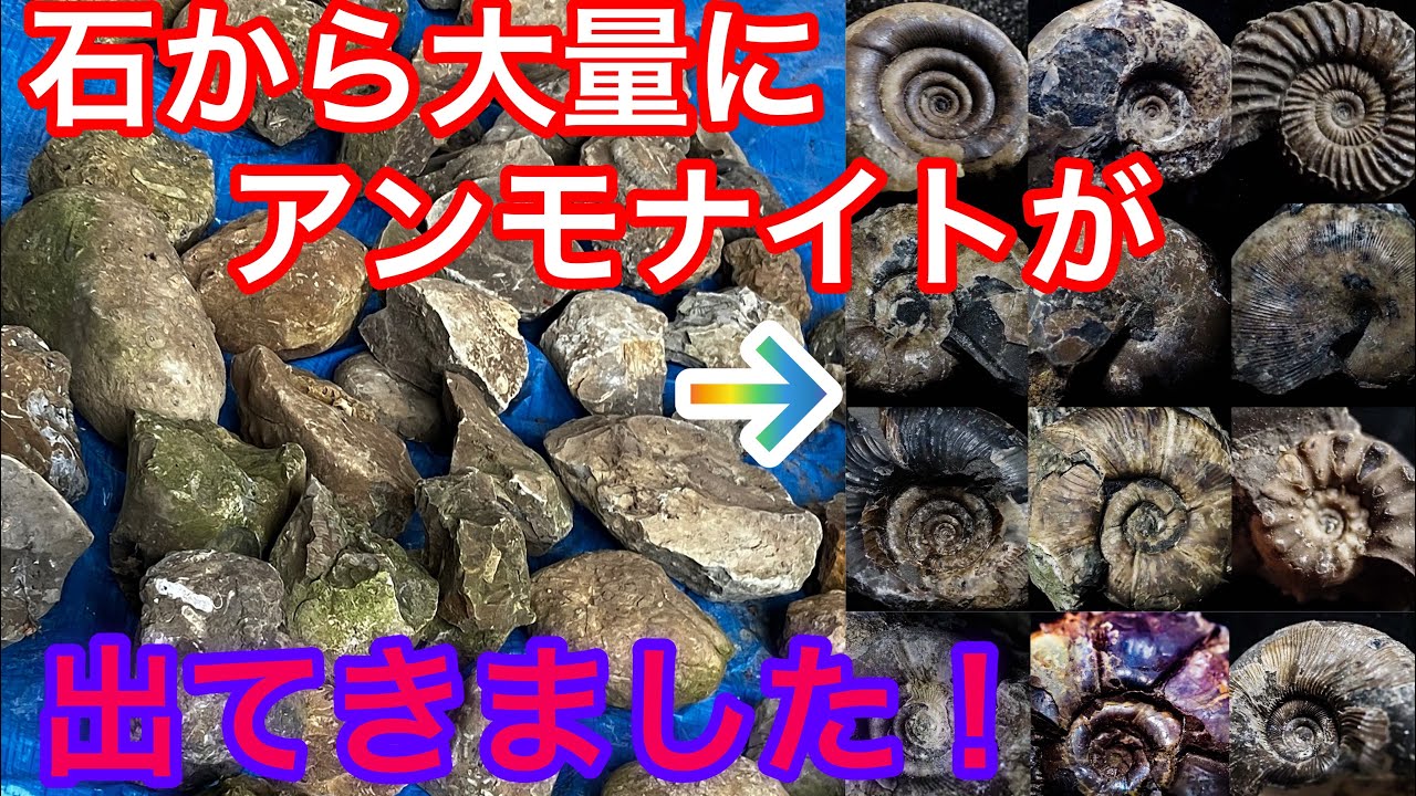 I just crack the stone and take out the ammonite! I also use