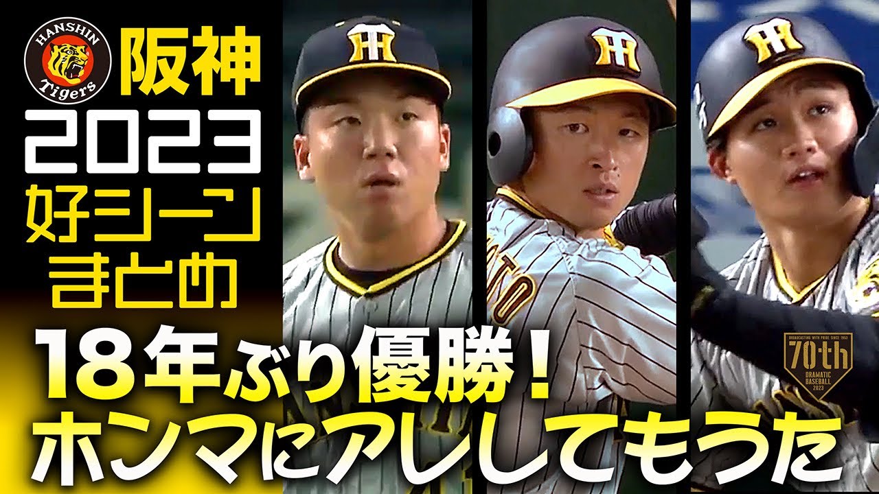 t*ん様 阪神タイガース 2023 18年ぶり 歓喜のリーグ制覇 DVD 未開封