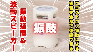 振皷FURIKO ロゴストロン neten 振鼓 -FURIKO- （ふりこ）（ネッテン