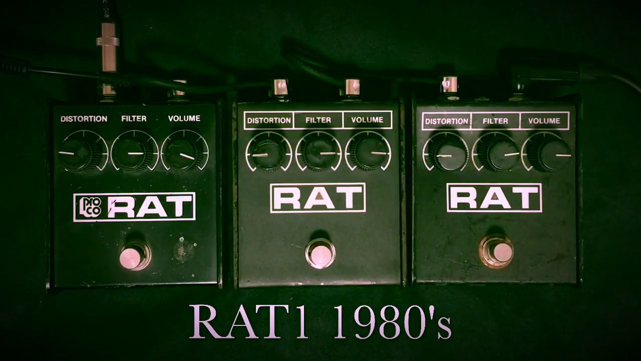 PROCO RATをレビュー！年代別の見分け方とサウンドを比較してみた