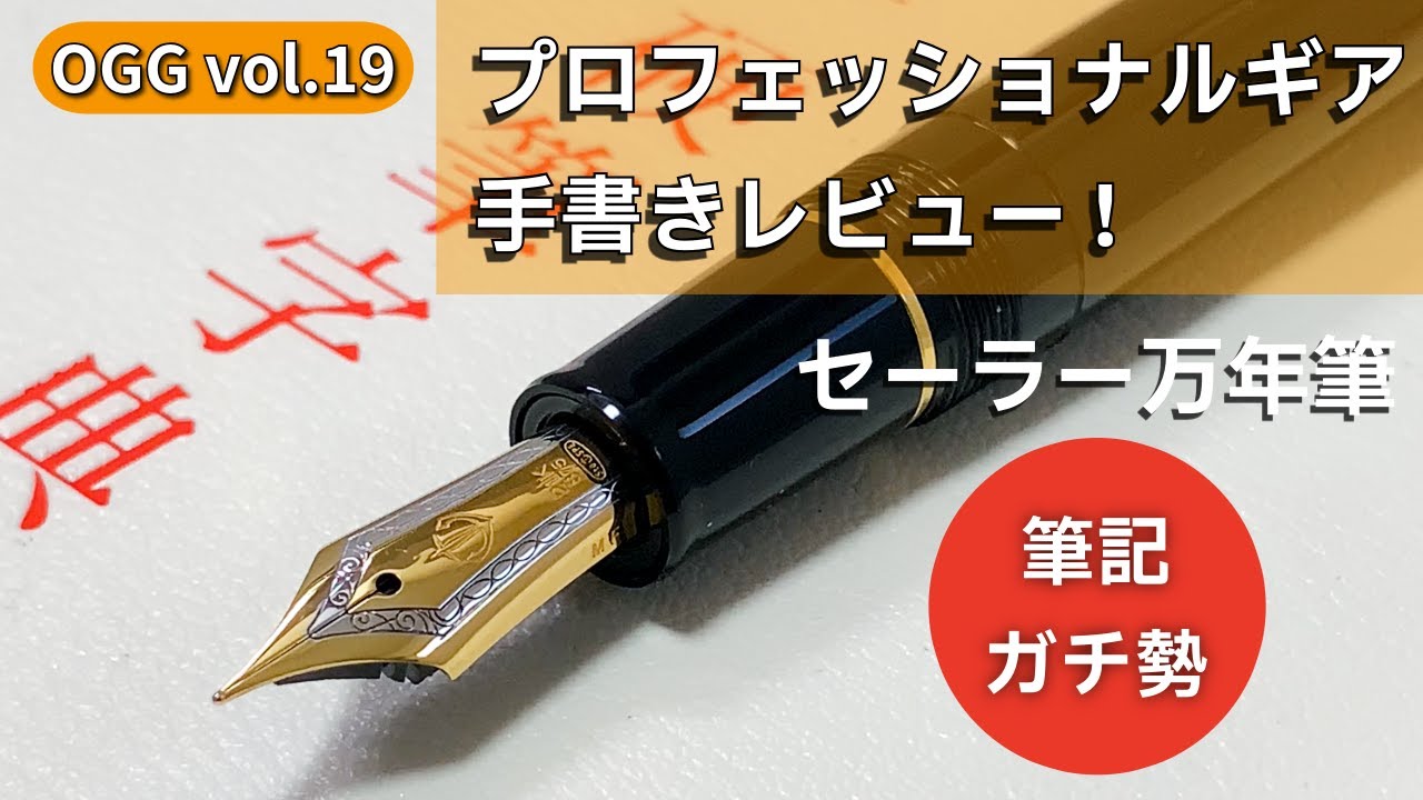 PLATINUM プラチナ 万年筆 創業70周年記念 金透かし 唐草模様 細字