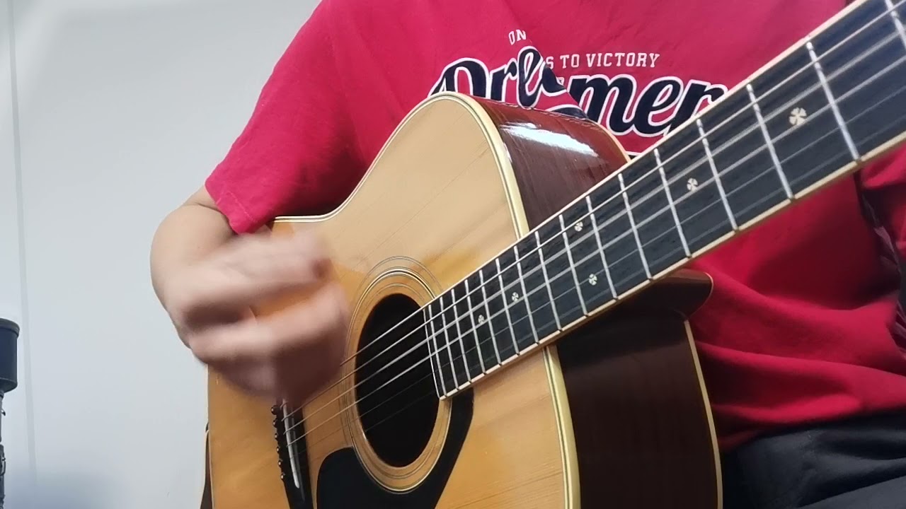 ヤマハ FG301B アコースティックギター (坂井泉水さん愛用？)｜ヤマハ