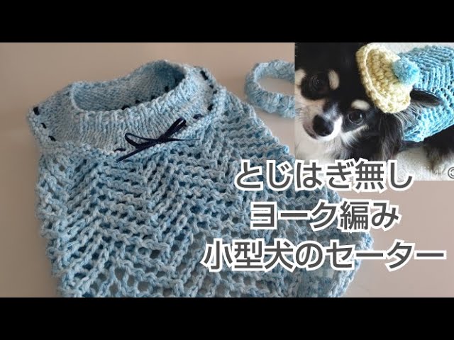 犬服】100均コットンデニムで「とじはぎ無し」犬用ヨーク編みセーター