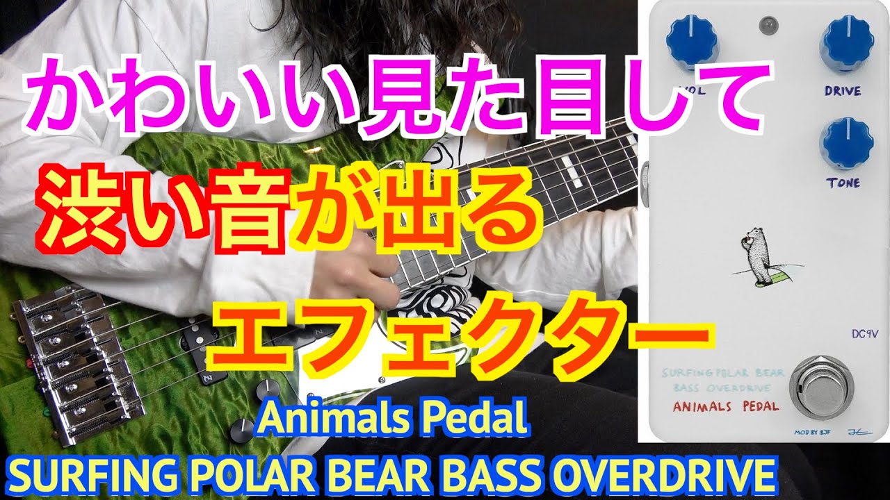 Animals Pedal SURFING POLAR BEAR BASS OVERDRIVE MOD BY BJF