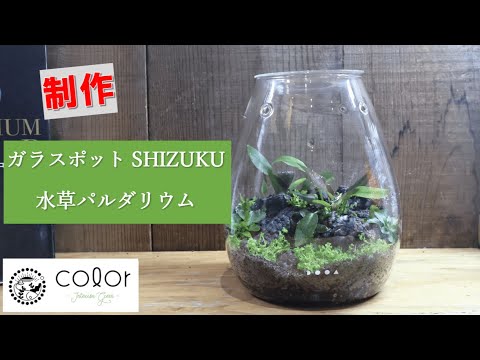 DOOA ガラスポット 3個 ピンセットセット