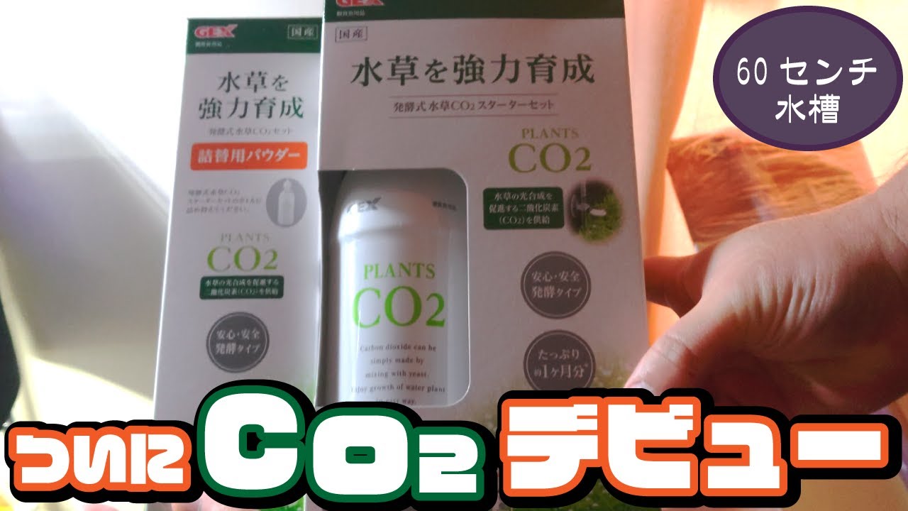 60センチ水槽】ついにCo2添加デビュー - YouTube