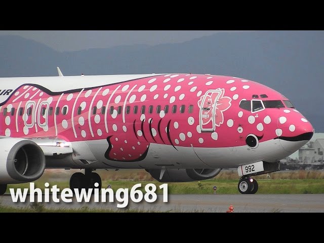 JTA ジンベエジェット 2号機 さくらジンベエ 737-400 1/130 JTA