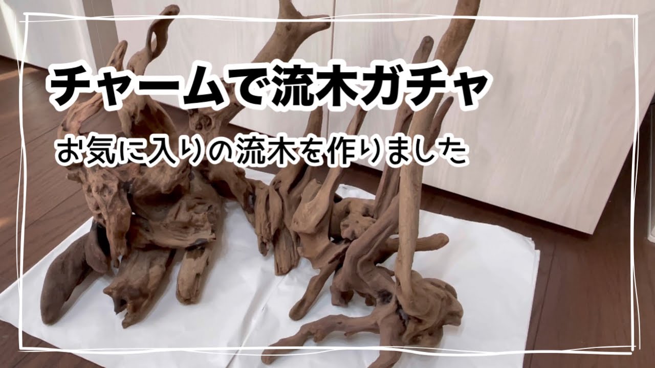 大きい流木を作って水槽に入れた - YouTube