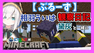番外編【Minecraft】ぶるーず・相羽ういは観察日記～黛灰と一緒に