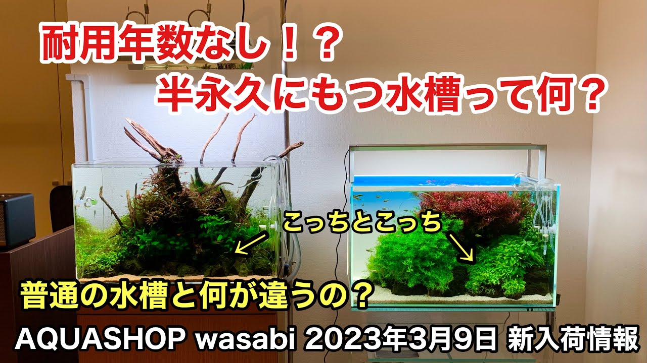 ada 60×30×36水槽 状態良好! ADA Review 「基本の60㎝水槽システム