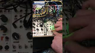 Shakmat Time Wizard - Eurorack Module on ModularGrid