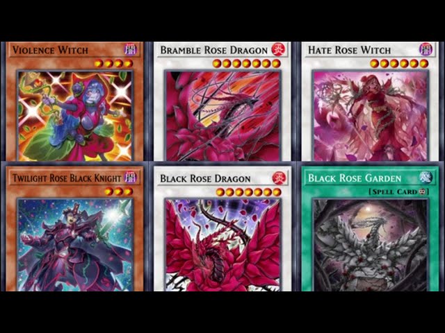 本格構築 ローズドラゴンデッキ レッドローズドラゴン 黒薔薇の破滅竜