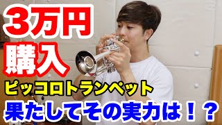 Part 2 [Playtech] I tried playing the super cheap piccolo trumpet