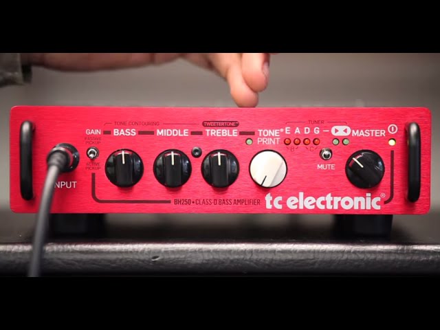 BH250 Bass Head - 5 Things to Know - YouTube