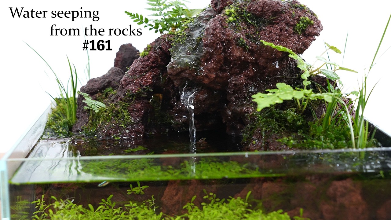 パルダリウム テラリウム水槽600×300×360 パルダリウム・テラリウム