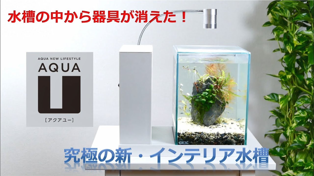 GEX aquarista AQUA-U アクアユー ホワイト ガラス水槽