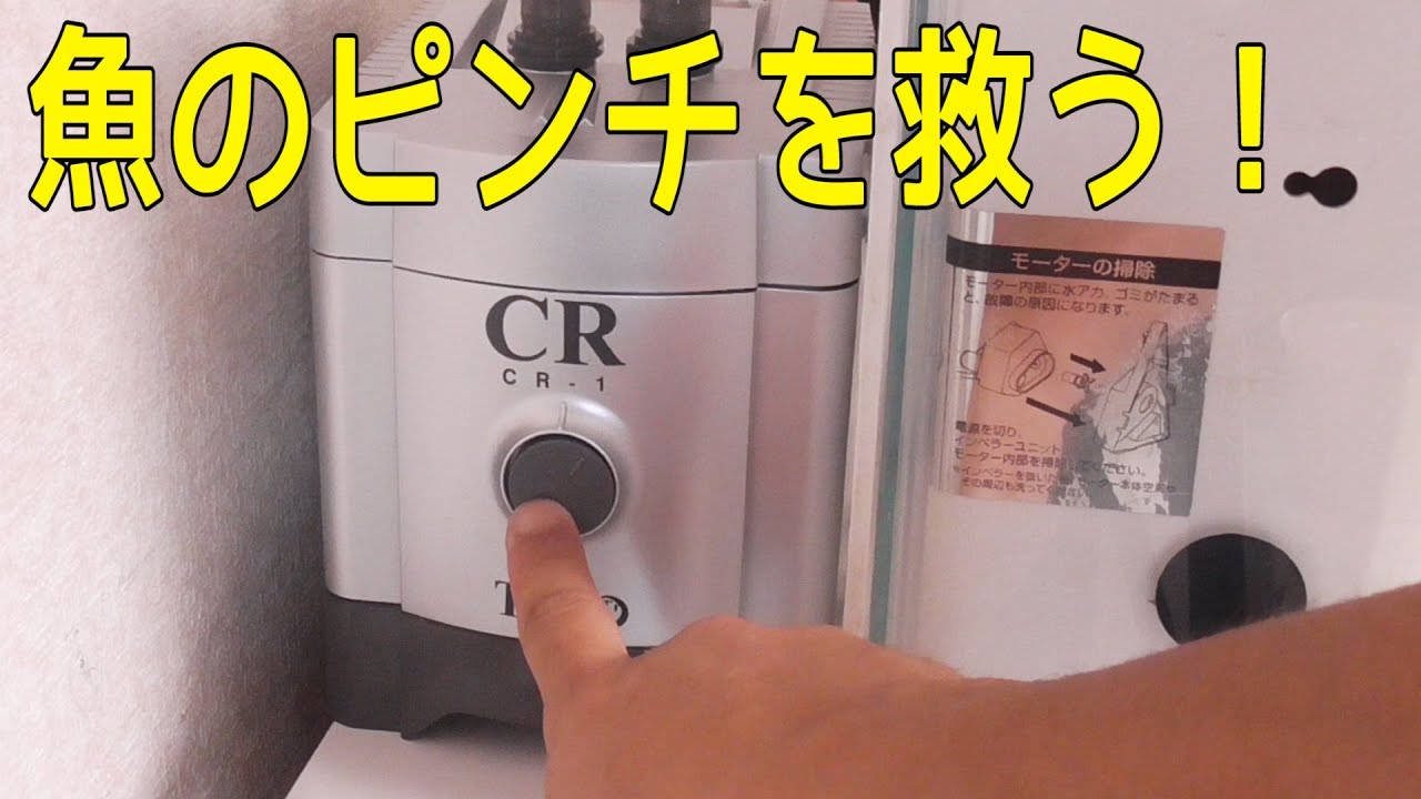 水槽の冷却クーラーを買いました！【テトラクールタワーCR1を他社の
