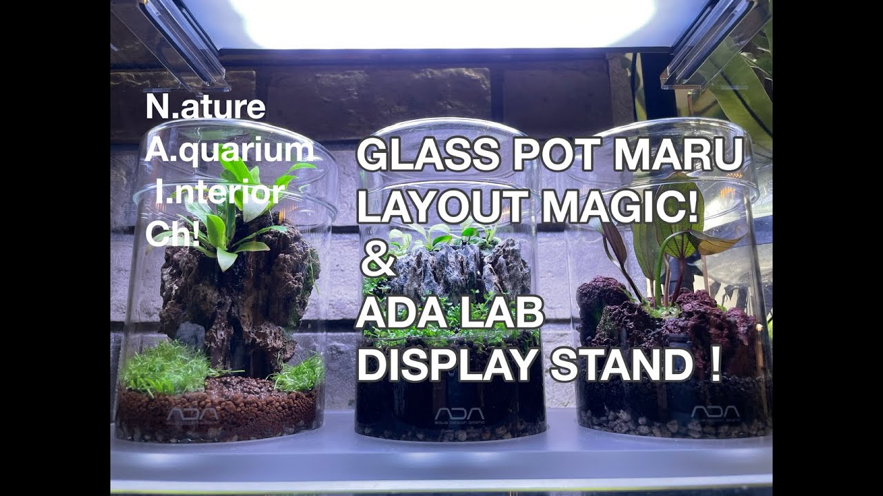 ADAガラスポッドmaru展示スタンドセットとパルダライト60