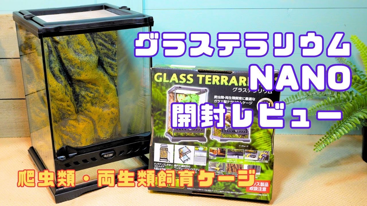 GEX エキゾテラ グラステラリウムナノ 開封！使い勝手やおすすめ