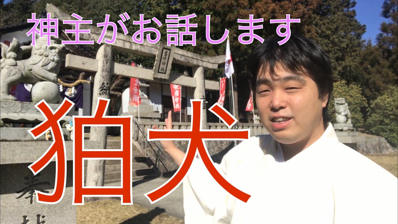 A current Shinto priest talks] Check out the guardian lion statues