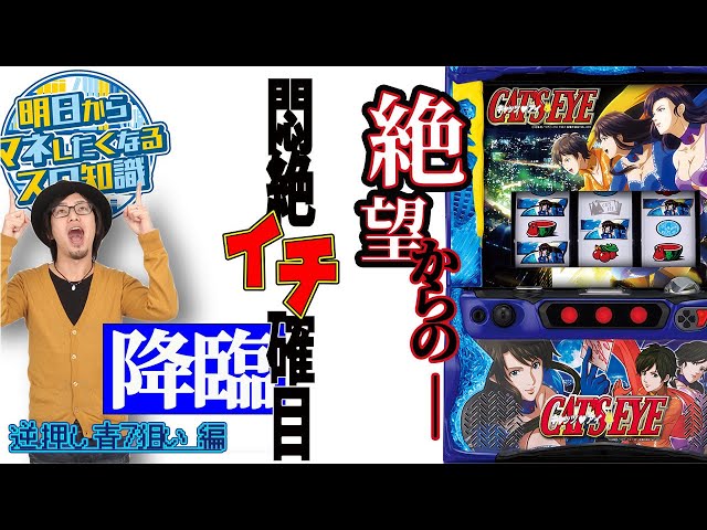 Sキャッツ・アイ】～6.5号機を120%楽しむアツ打ち完成！逆押し青7狙い