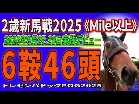 2歳新馬戦2025】6鞍出走46頭の若駒の姿を。2025年9月27