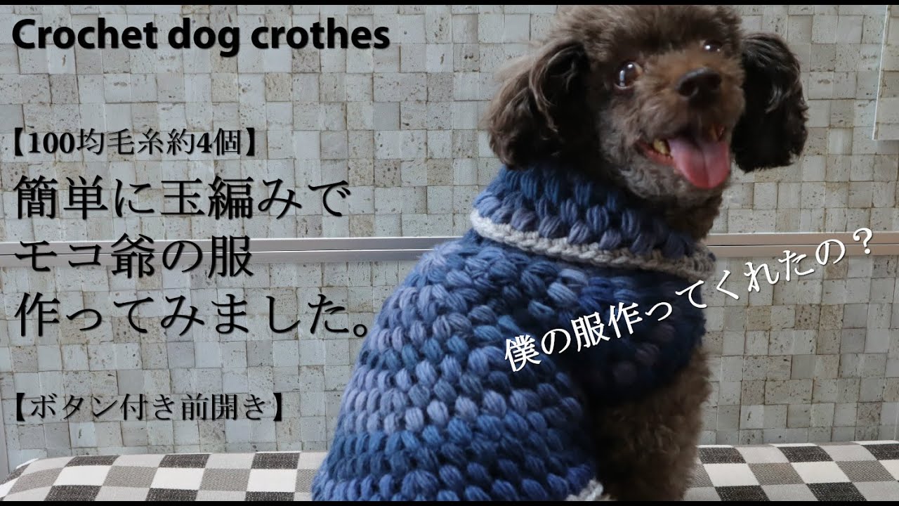 100均毛糸】私流の犬用セーターの編み方☆いつもより多めに試行錯誤し