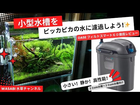 水がピッカピカになる小型濾過器！OASEフィルトスマート60「横置き