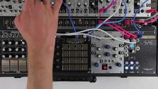 Make Noise Tempi— Clockface Modular