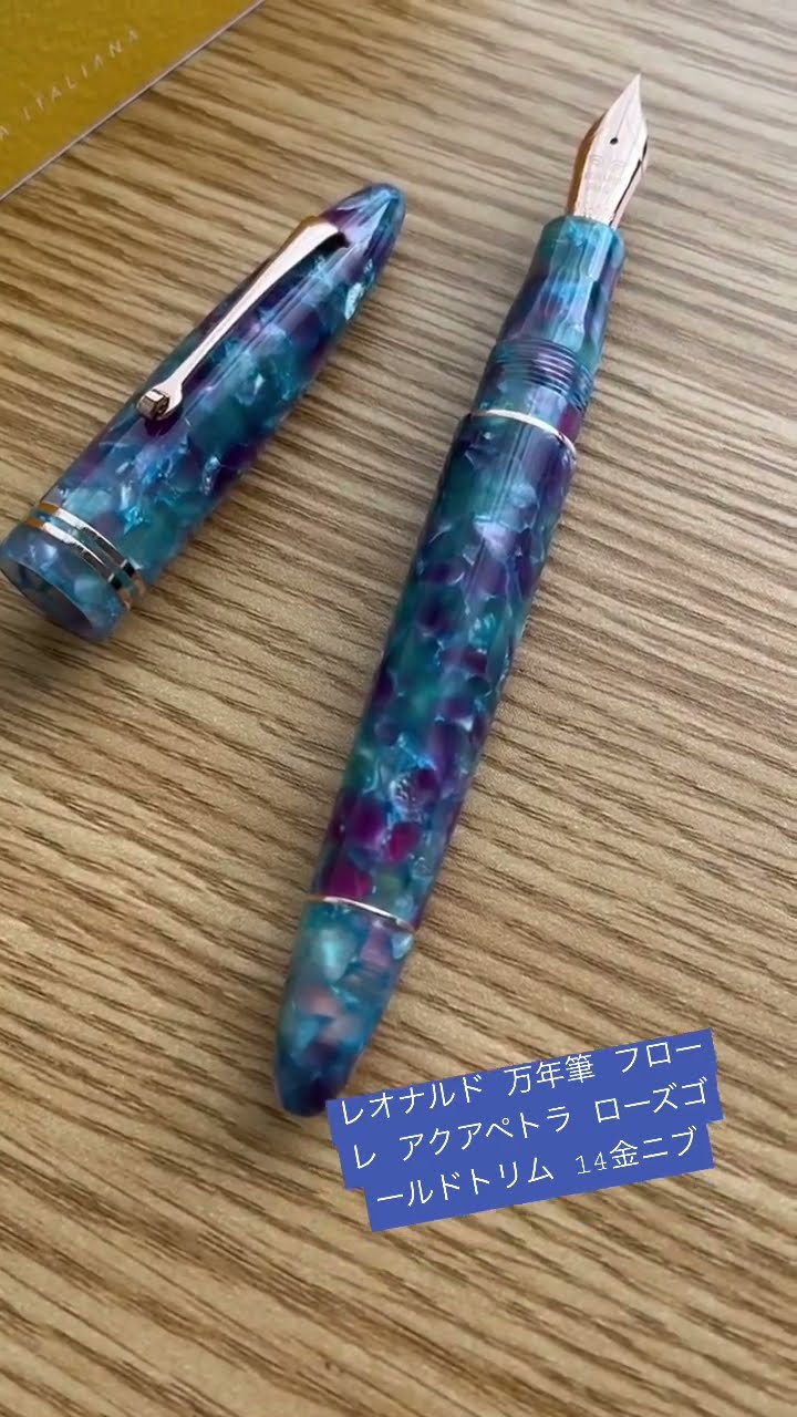 レオナルド フローレ アクアペトラ 万年筆 スチールニブ ローズ