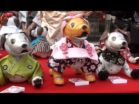 七五三、アイボがお参り - YouTube