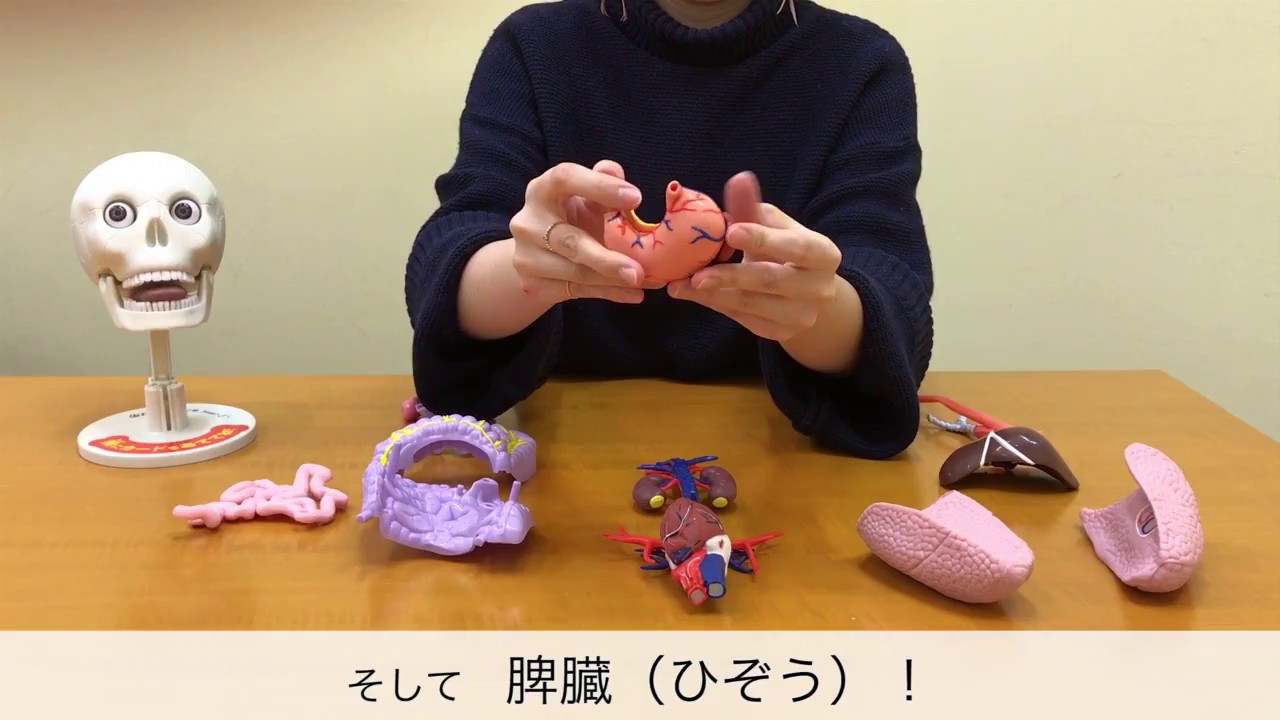 maxresdefault.jpg?sqp=-