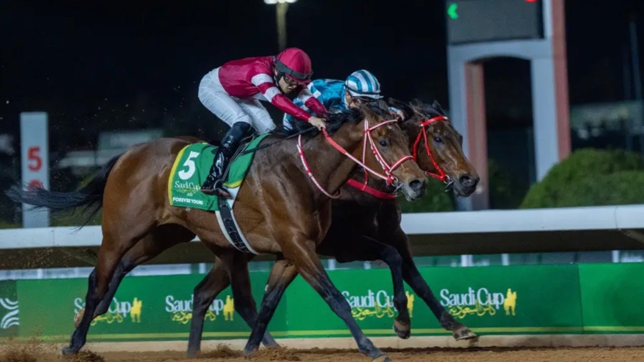 2025 Bochk Jockey Club Cup - Romantic Warrior #ロマンチック