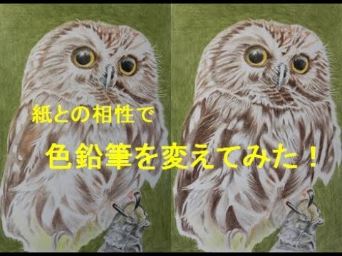 色鉛筆画】フクロウ 紙との相性で色鉛筆を変えてみた！ - YouTube